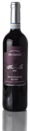 fronte-Montefalco-Rosso.png-e1468741925932-255x1024